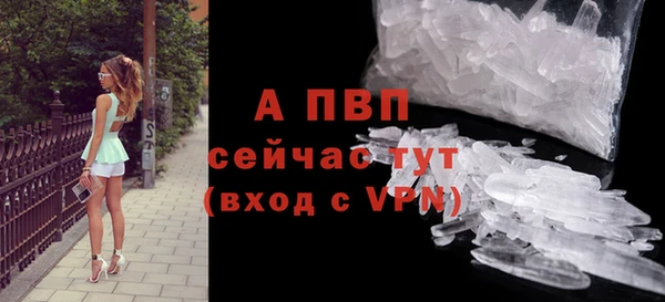 прущие грибы Гусев