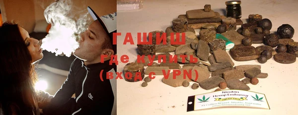 прущие грибы Гусев