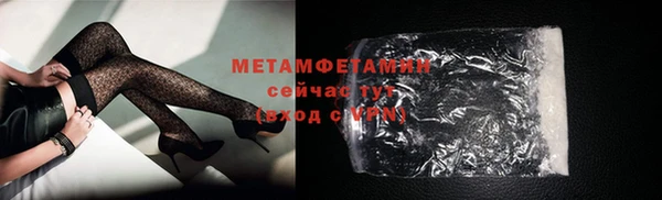 прущие грибы Гусев