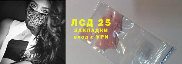 прущие грибы Гусев