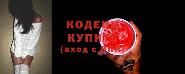 прущие грибы Гусев