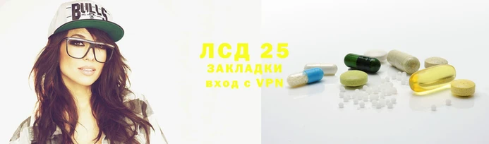 прущие грибы Гусев