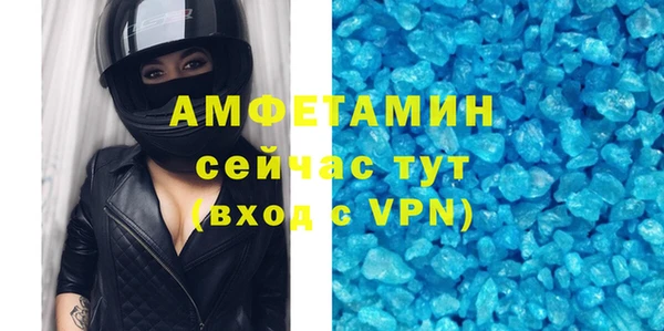 прущие грибы Гусев
