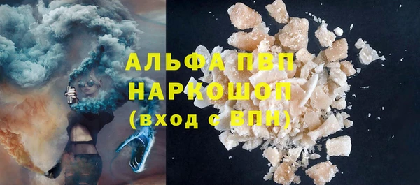 прущие грибы Гусев