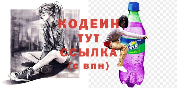 прущие грибы Гусев