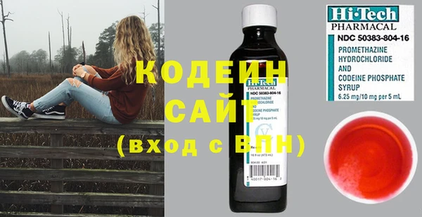 прущие грибы Гусев