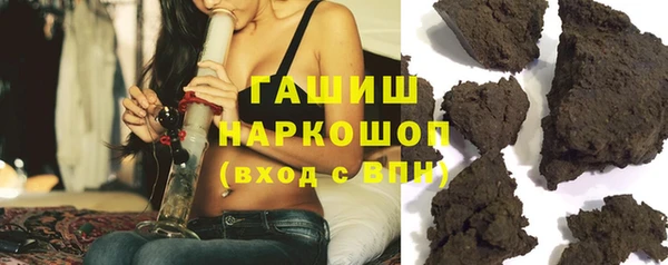 прущие грибы Гусев