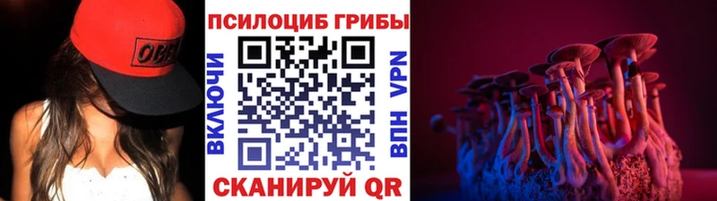 Галлюциногенные грибы GOLDEN TEACHER продажа наркотиков Новочебоксарск